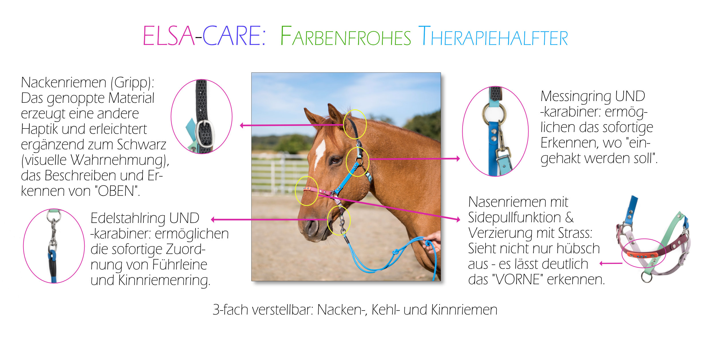 Therapie-Reit-/Halfter